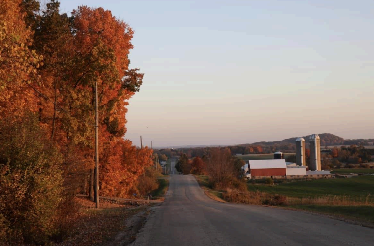 Country home framed by autumn trees